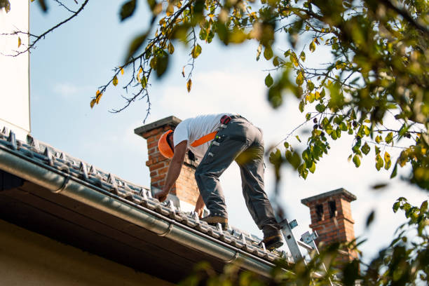 Best Storm Damage Roof Repair  in Chapman, KS