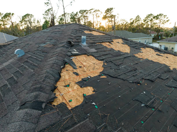 Best Asphalt Shingle Roofing  in Chapman, KS